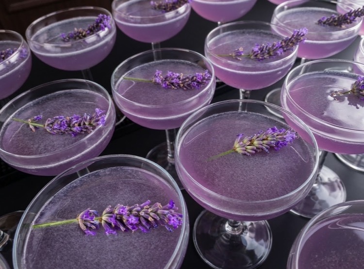 Lavender cocktails in coupe glasses served at a Norfolk wedding reception